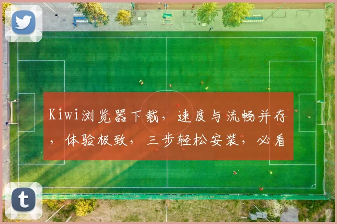Kiwi浏览器下载，速度与流畅并存，体验极致，三步轻松安装，必看攻略