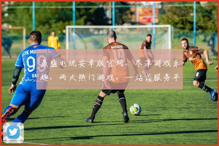 鼎盛电玩安卓版官网，尽享游戏乐趣，两大热门游戏，一站式服务平台，不容错过