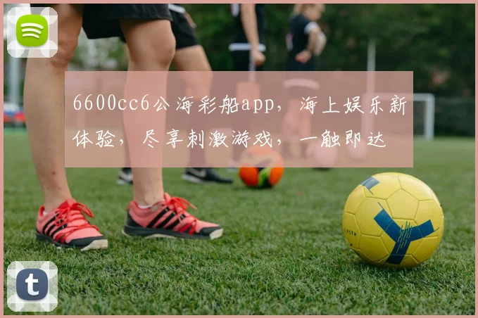 6600cc6公海彩船app，海上娱乐新体验，尽享刺激游戏，一触即达