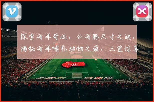探索海洋奇迹，公海豚尺寸之谜，揭秘海洋哺乳动物之最，三重惊喜等你发现