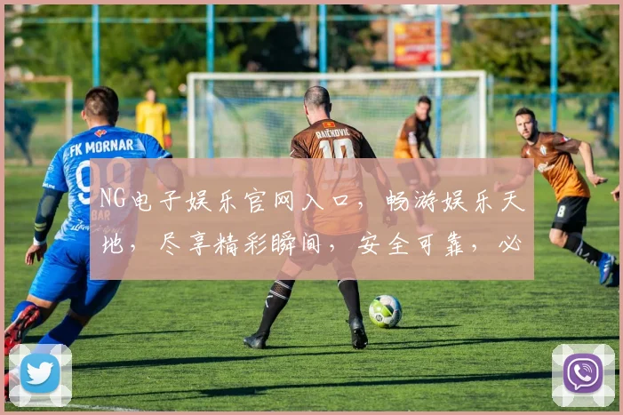 NG电子娱乐官网入口，畅游娱乐天地，尽享精彩瞬间，安全可靠，必看攻略，三步直达