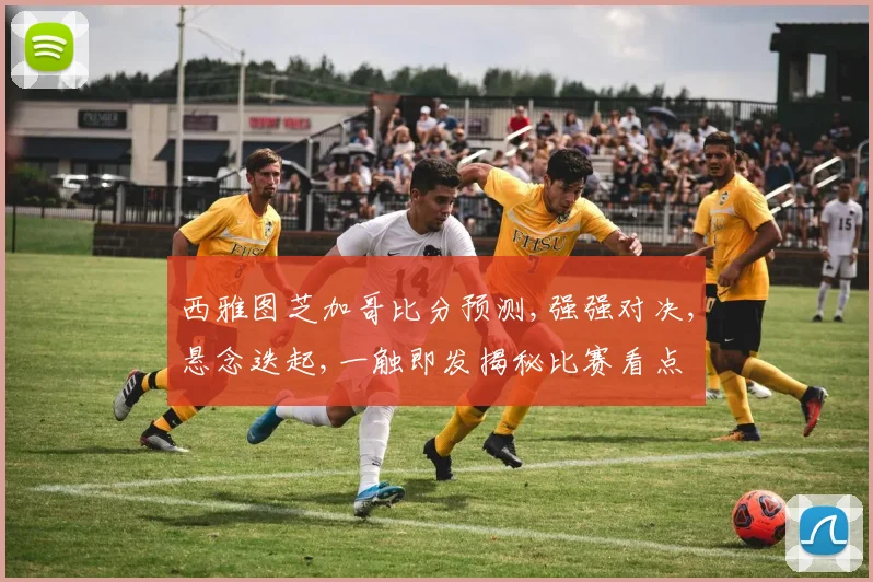 西雅图芝加哥比分预测,强强对决,悬念迭起,一触即发揭秘比赛看点
