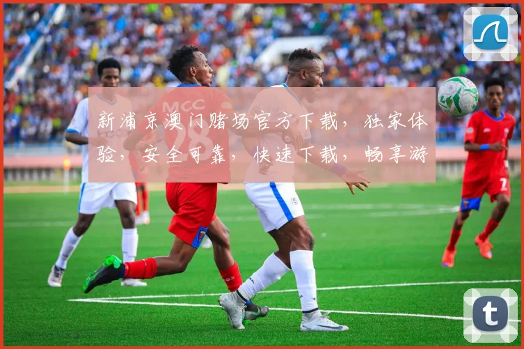 新浦京澳门赌场官方下载，独家体验，安全可靠，快速下载，畅享游戏